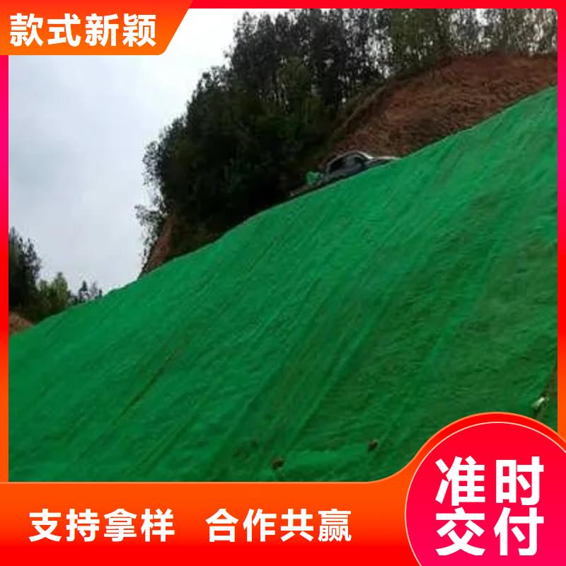 三维植被网化粪池水泥精致工艺