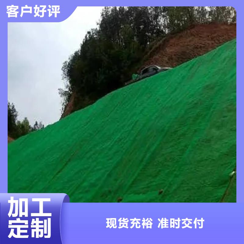 三维植被网价格