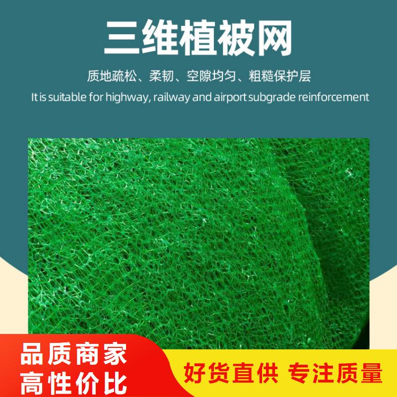 三维植被网,【化粪池水泥】专业生产团队