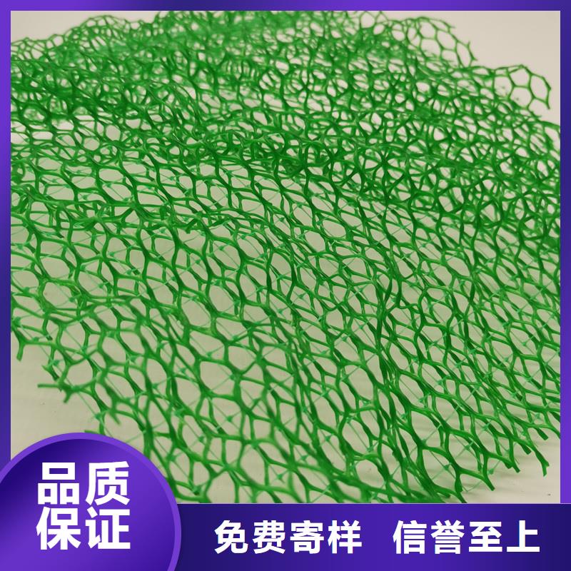 三维植被网,【化粪池水泥】专业生产团队