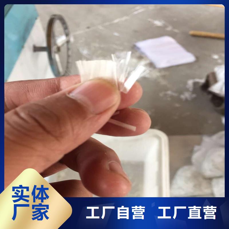 纤维最新价格