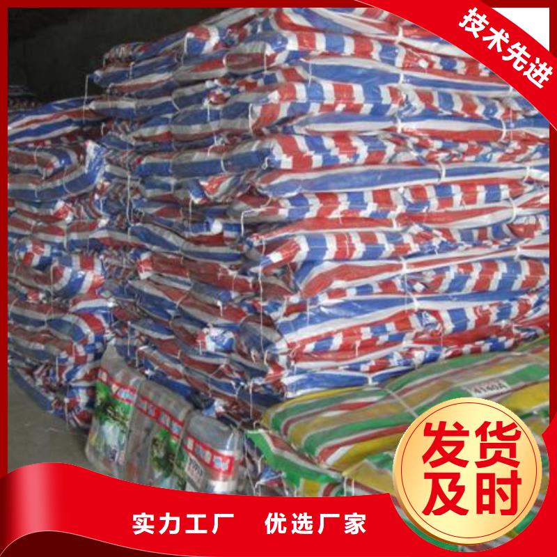 100g聚乙烯彩条布-100g聚乙烯彩条布到厂参观