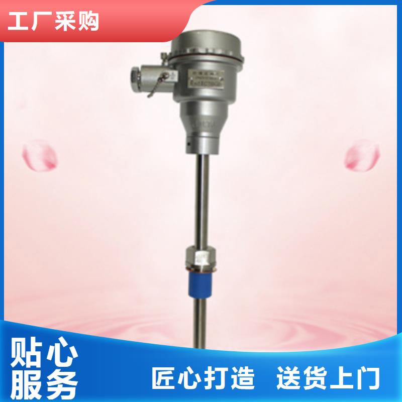 供应差压变送器LD3851D-DP30M3B3F22_品牌厂家