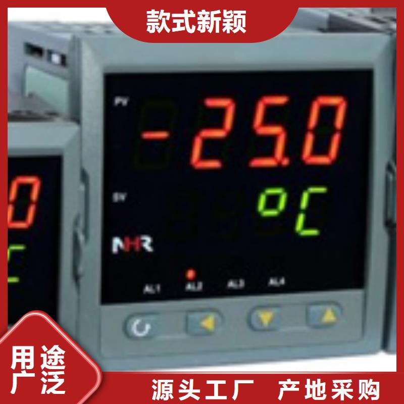 定制DGW-121□热电阻输入温度变送器的厂家