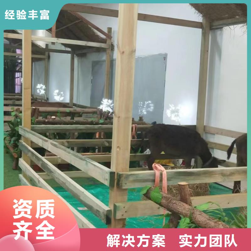 萌宠动物展览商场活动