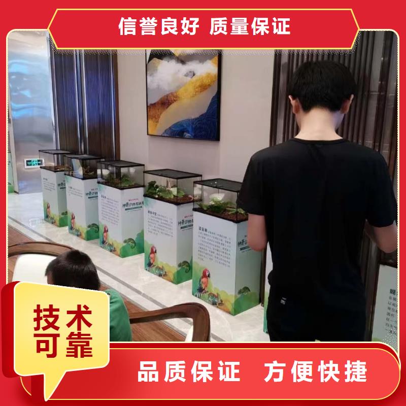 动物出租图片