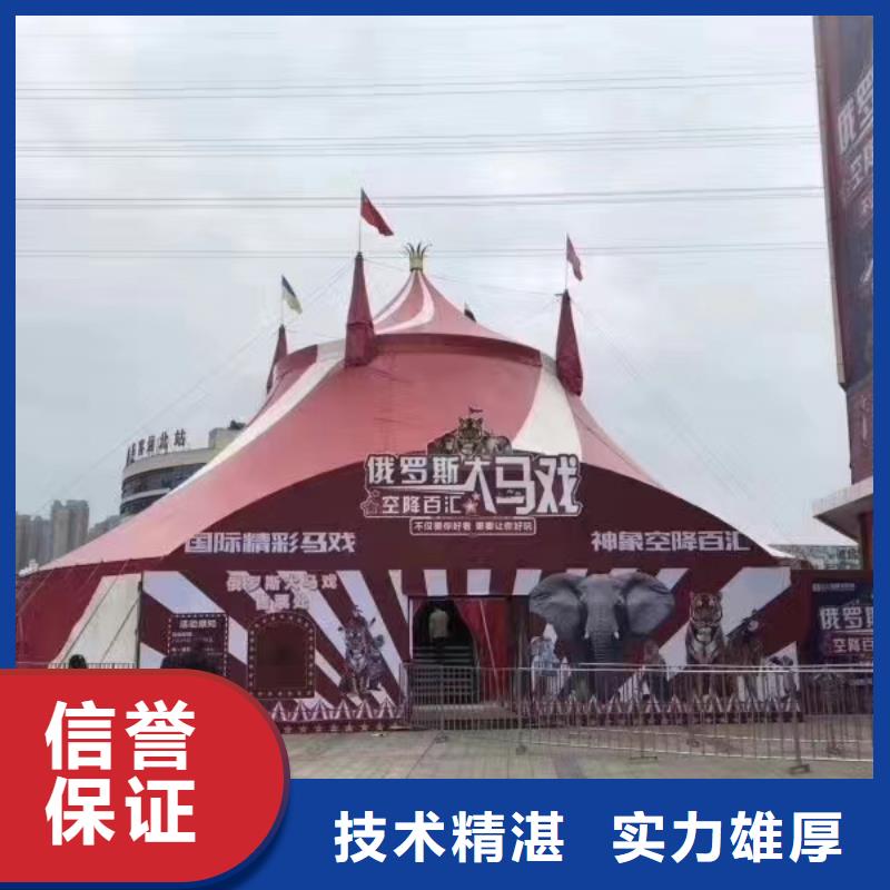 专业生产制造羊驼租赁马戏团表演