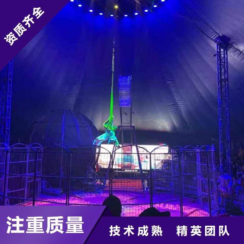 马戏团/羊驼羊驼出租一站搞定