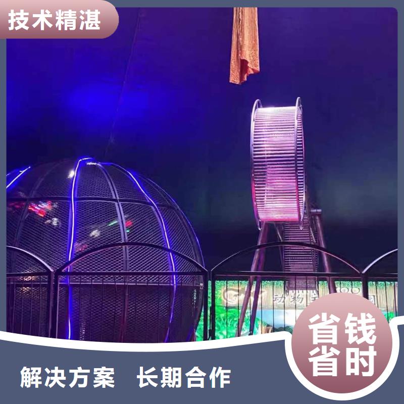 乐东县萌宠展出租活动庆典