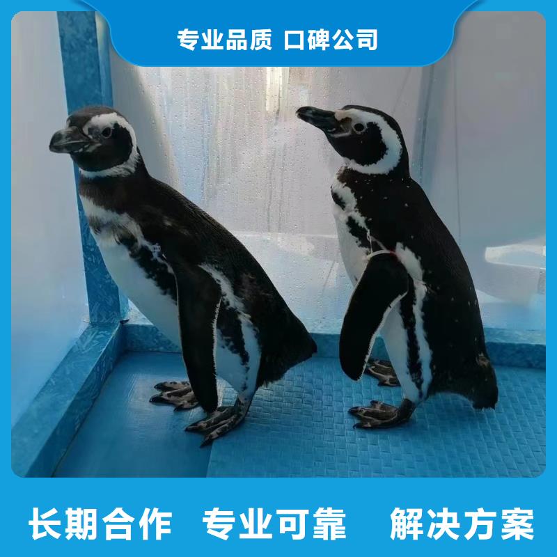 海洋生物展租赁周边