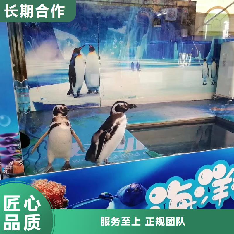 海洋生物展出租暖场活动