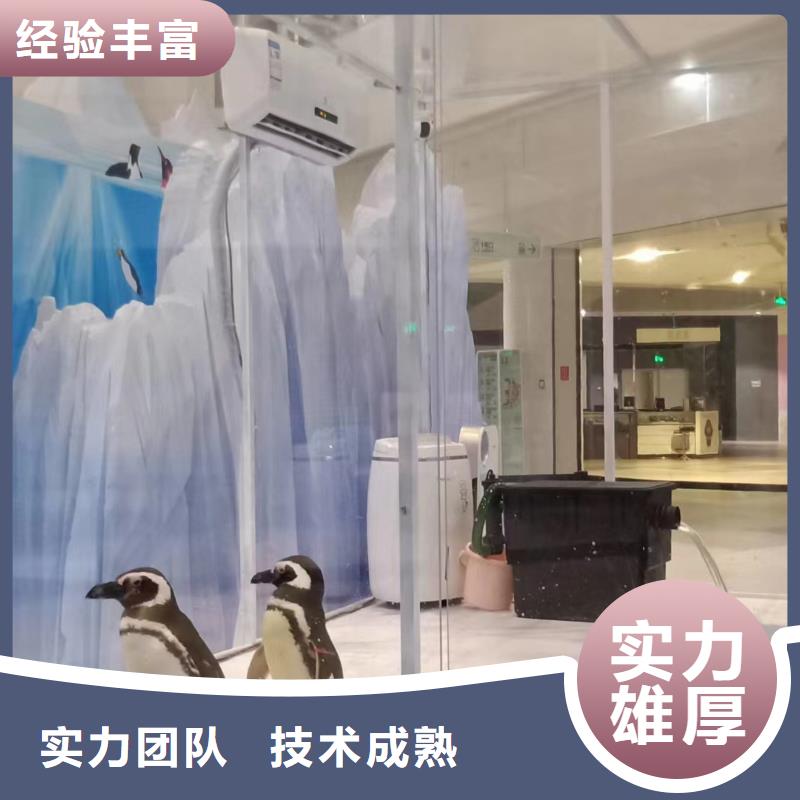 海洋生物展出租精选厂商