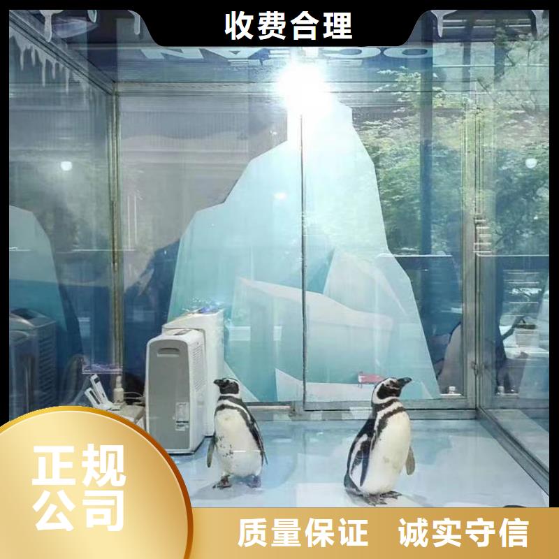 海洋生物展租赁公司主题展览