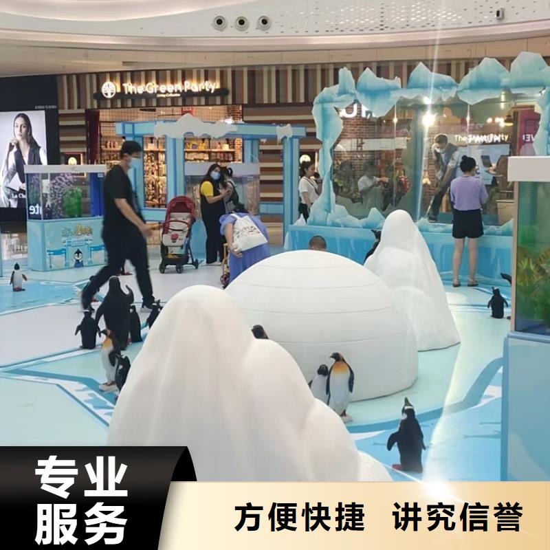 海洋生物展出租图片