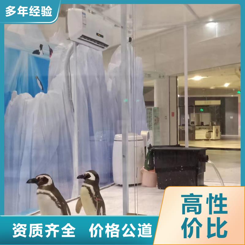 海洋生物展租赁