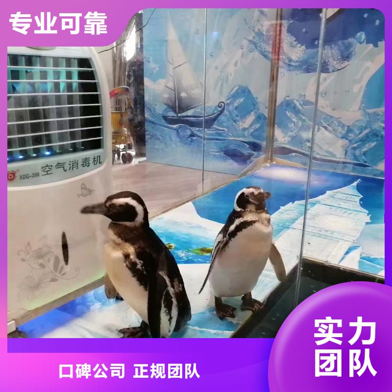 海洋生物展租赁周边