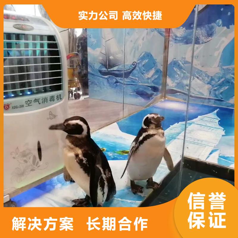 选海洋生物展出租【无中间商】