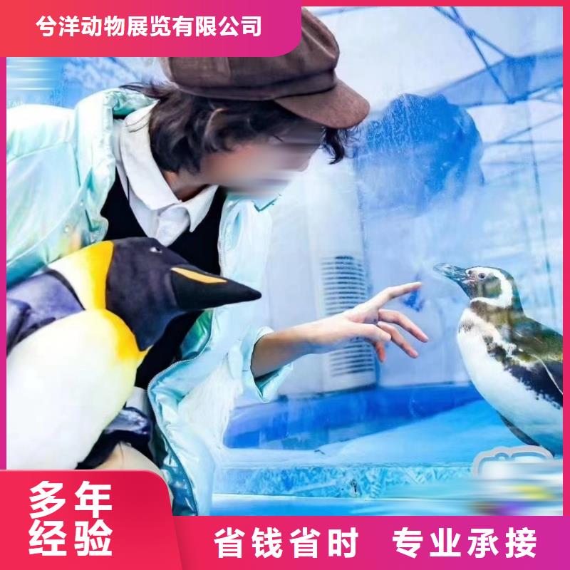 海洋生物展出租暖场活动