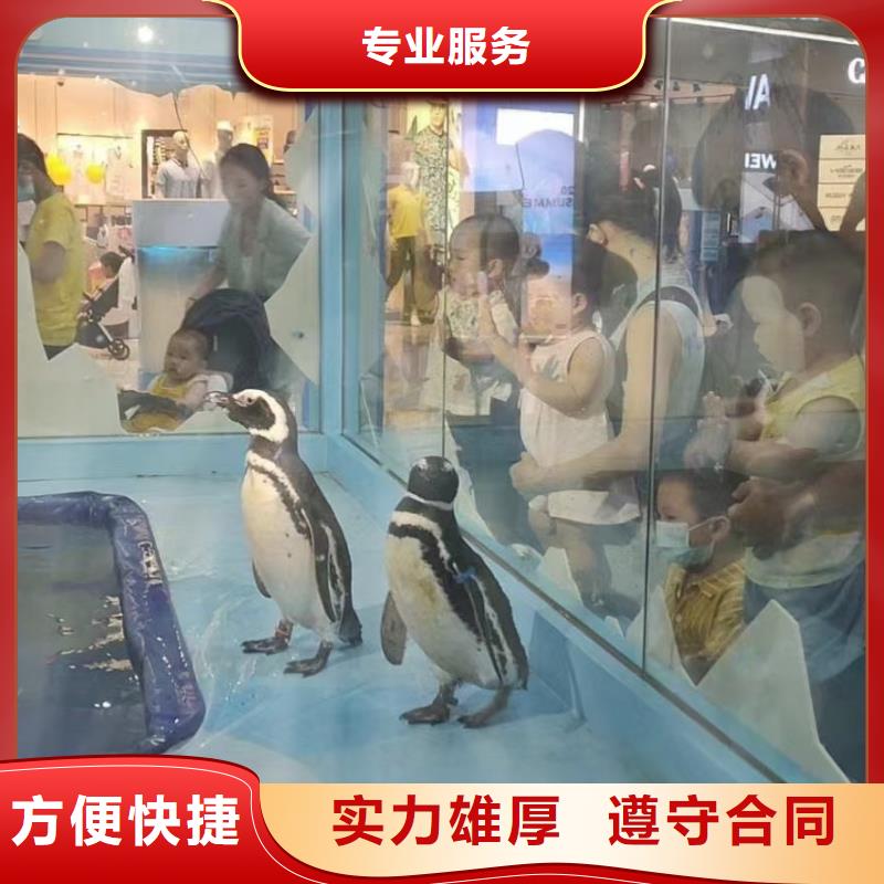 海洋生物展出租工艺先进