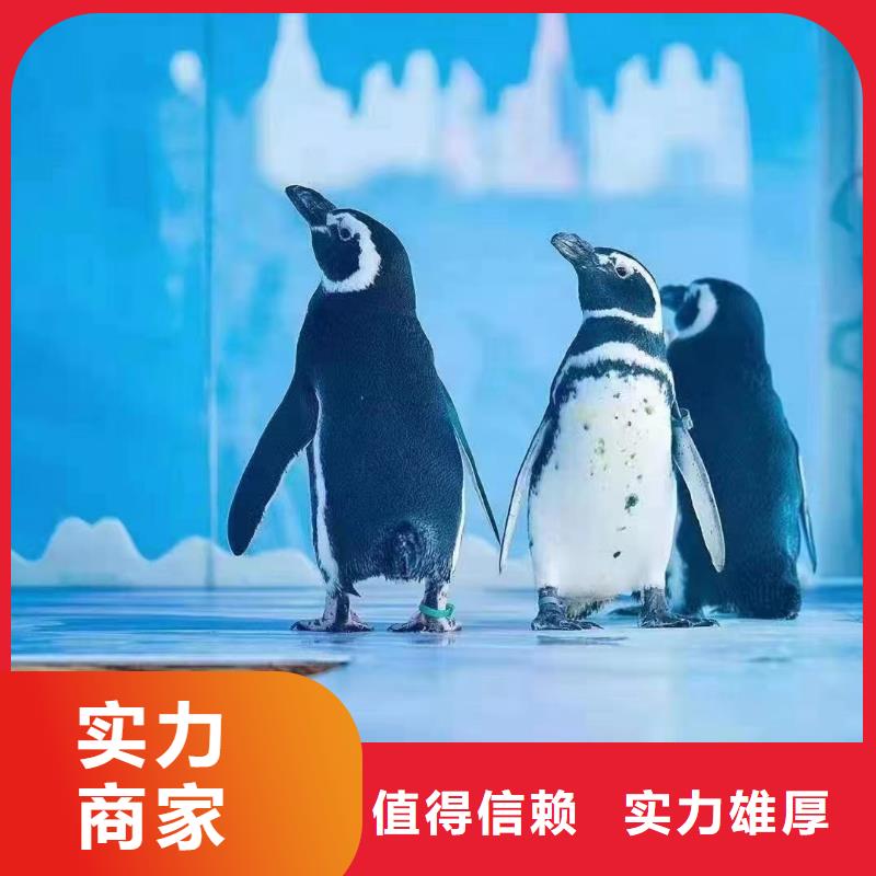 海洋生物展出租