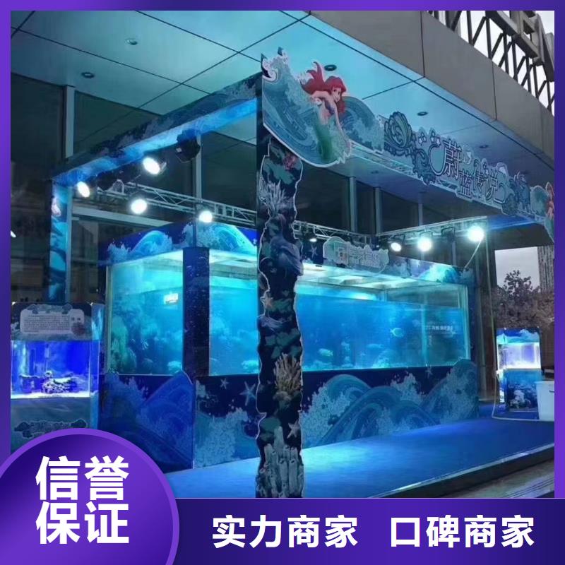 海狮出租公司丰富多彩