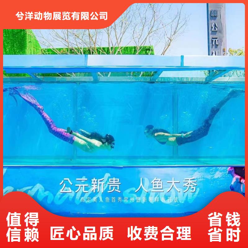 海洋展租赁