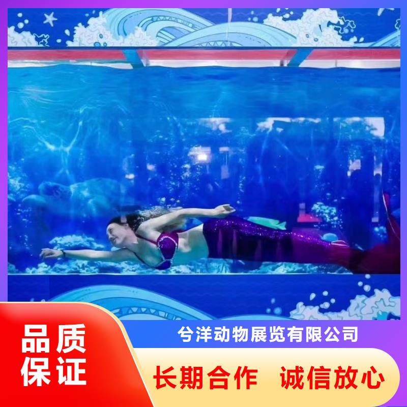 海洋生物展出租