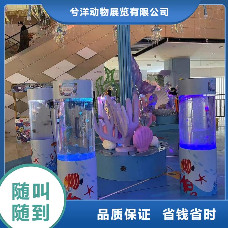 海洋生物展租赁公司创意方案