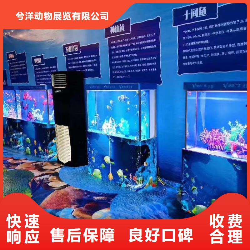 海洋生物展出租