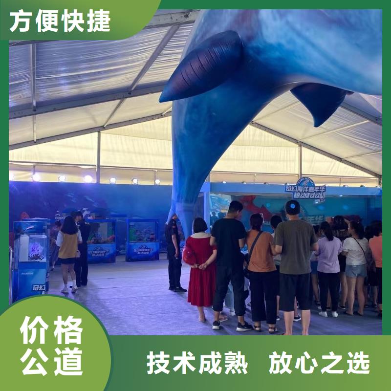 海洋主题动物表演萌宠动物展出租精英团队