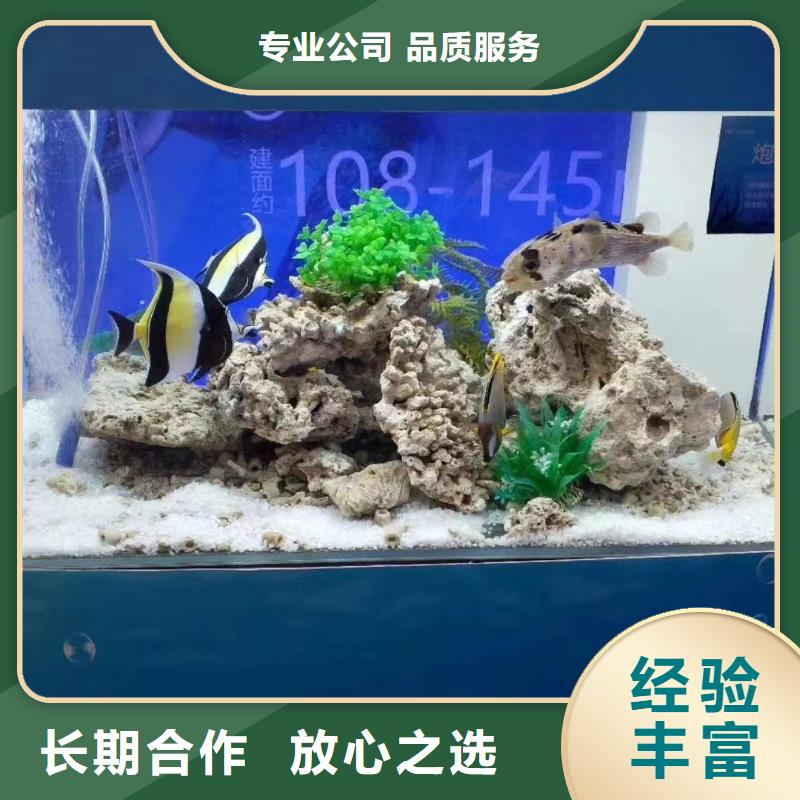 琼中县海洋生物展租赁