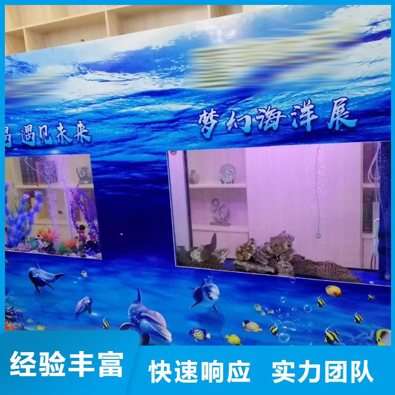 海狮表演出租图片