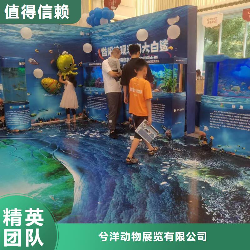 海洋生物展出租择优厂家