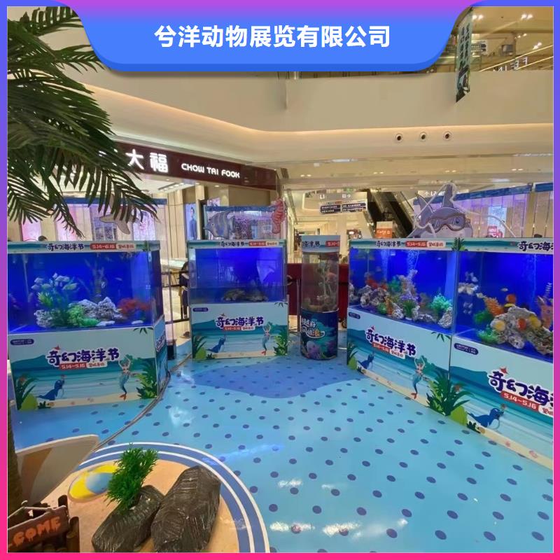 海洋生物展出租出厂价