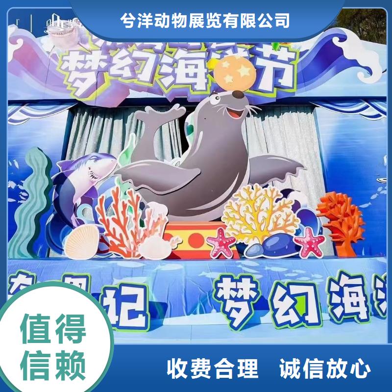 重信誉海洋生物展出租厂家价格