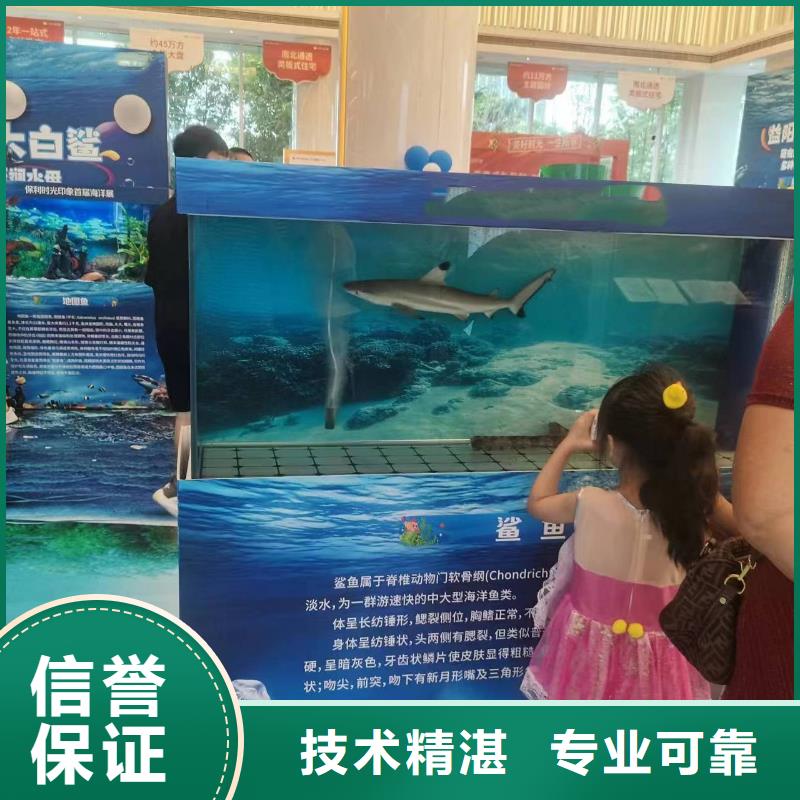 海洋生物鱼缸展出租全国承接