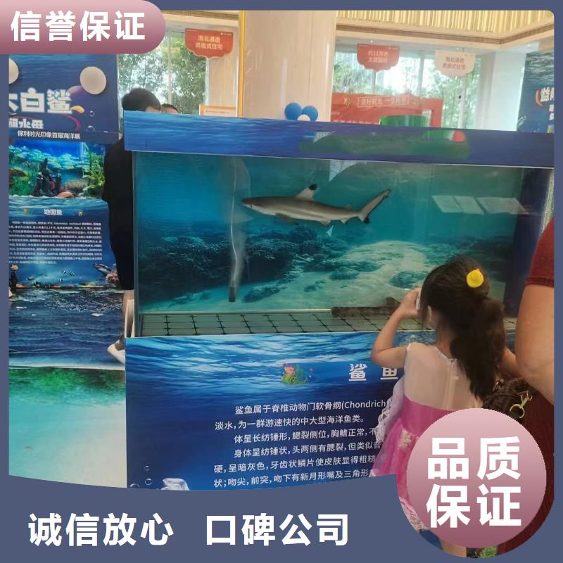 海洋生物展出租