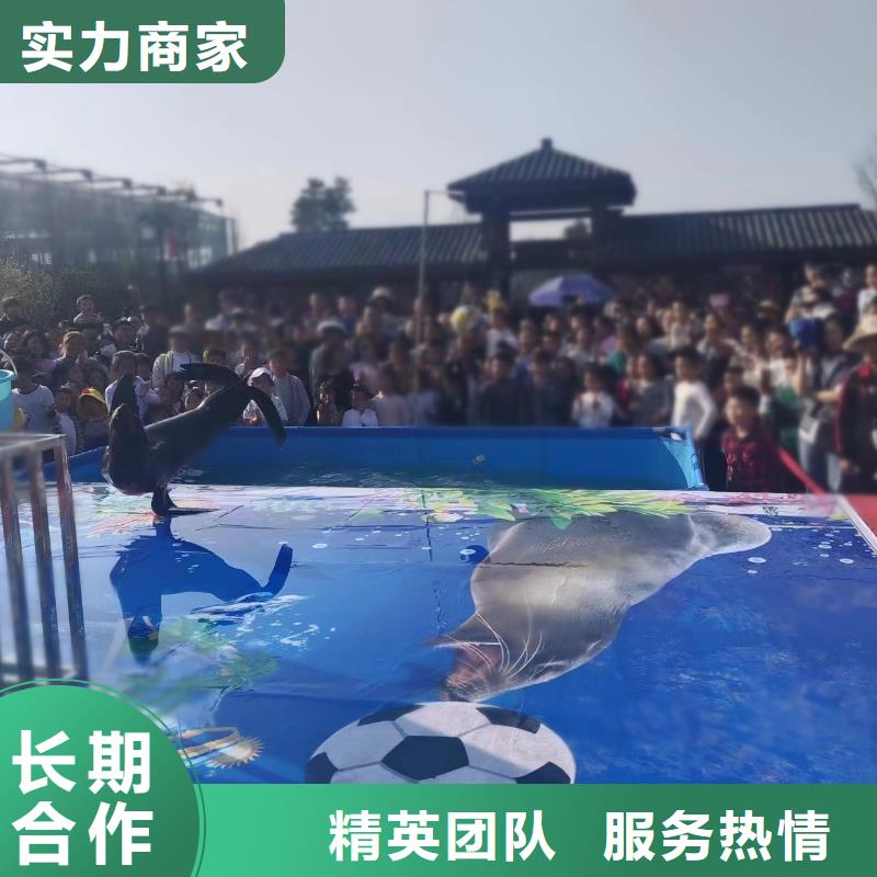 海洋生物展出租暖场氛围