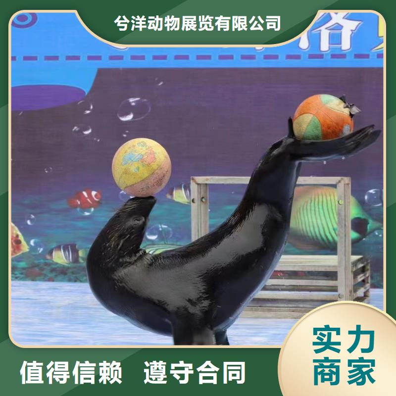 海洋生物展租赁暖场活动