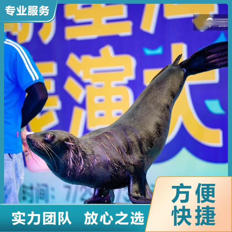 海洋展出租活跃气氛