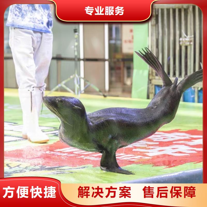 海洋生物展出租公司联系方式