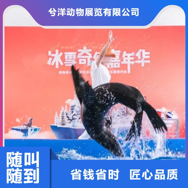 可定制海洋展出租的厂家