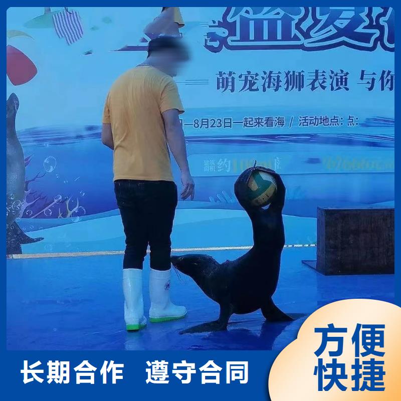 海洋生物展租赁附近