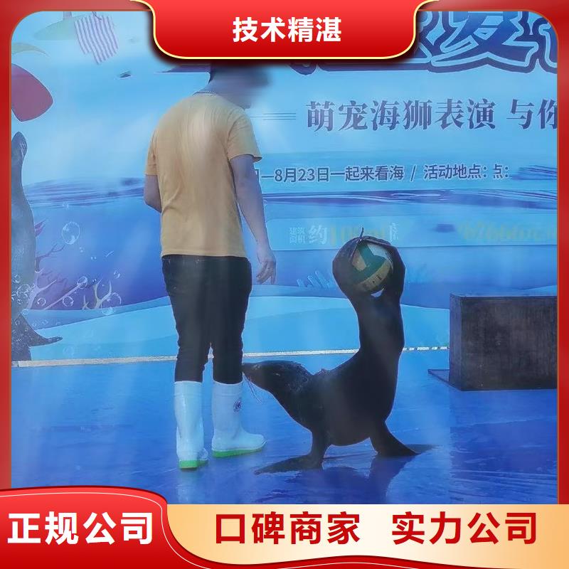 海洋生物展出租暖场氛围