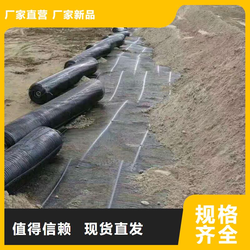 双向塑料土工格栅生产厂家