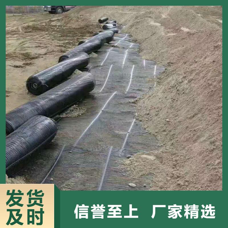 双向塑料土工格栅价格