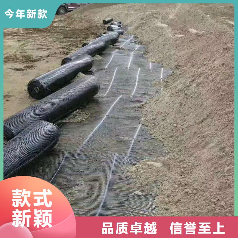 双向塑料土工格栅批发