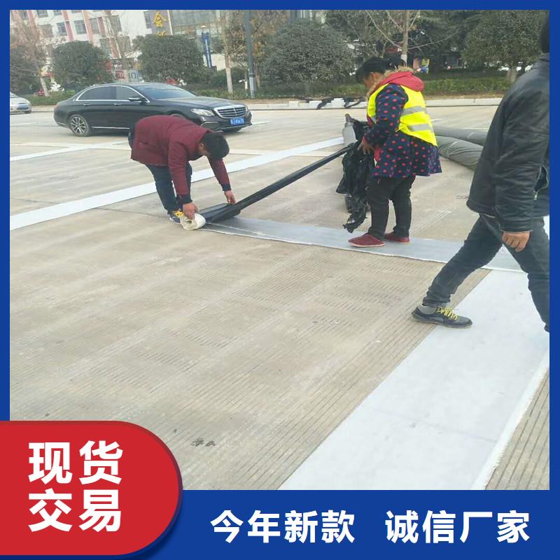 双向土工格栅报价