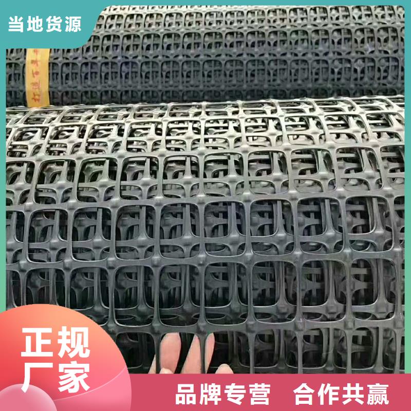 双向塑料土工格栅源头厂家