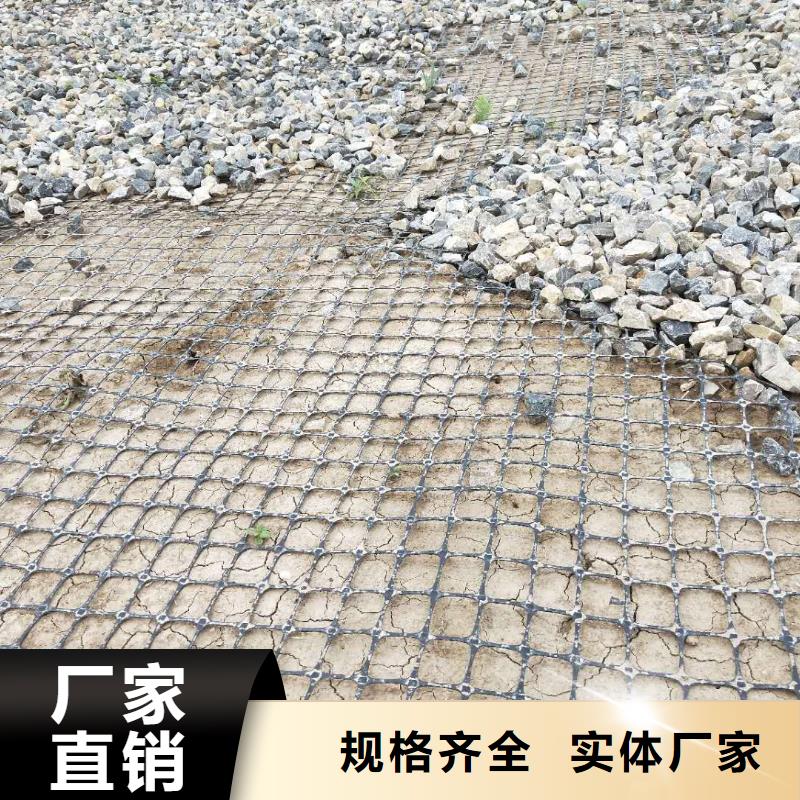 双向塑料土工格栅厂家报价